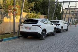 جيتور داشينج